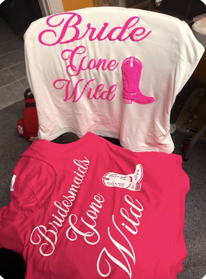 Bride and Bridesmaids Gone Wild shirt set